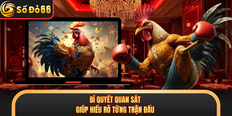 Bí quyết quan sát giúp hiểu rõ từng trận đấu