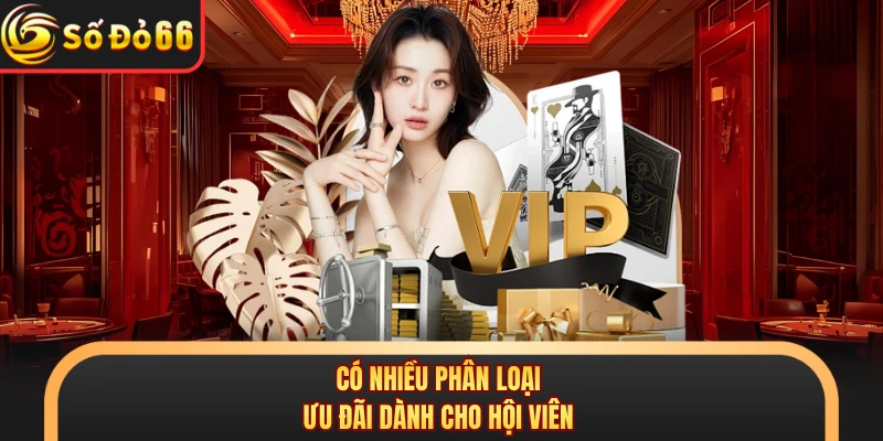 Có nhiều phân loại ưu đãi dành cho hội viên