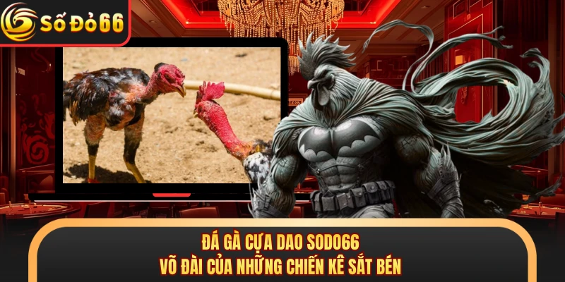 Đá Gà Cựa Dao SODO66 - Võ Đài Của Những Chiến Kê Sắt Bén