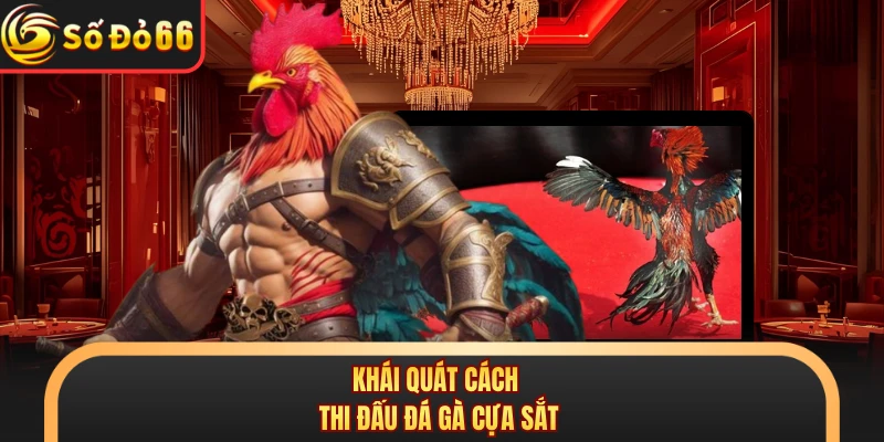 Khái quát cách thi đấu đá gà cựa sắt
