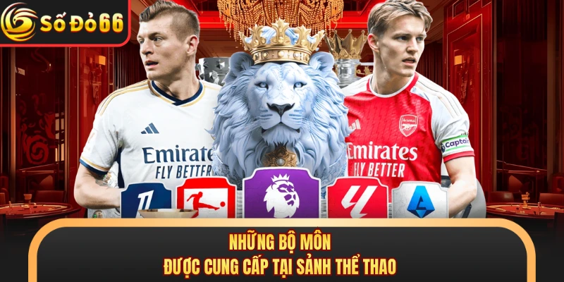 Những bộ môn được cung cấp tại sảnh thể thao