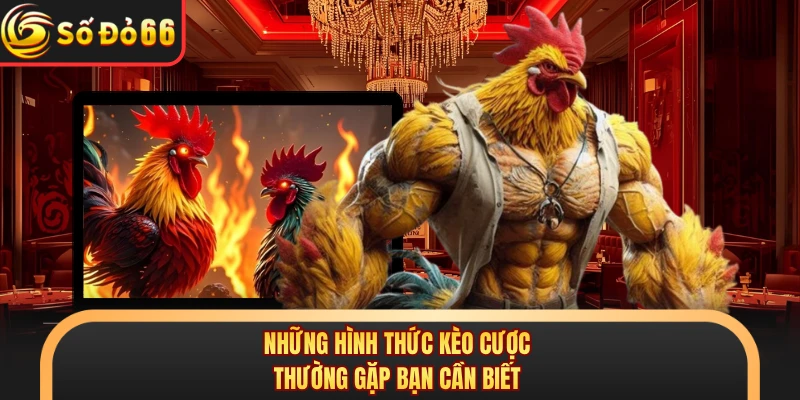 Những hình thức kèo cược thường gặp bạn cần biết