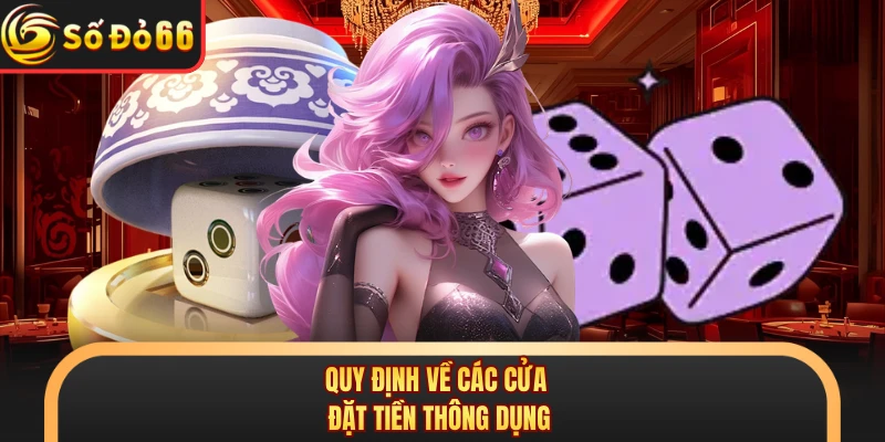 Quy định về các cửa đặt tiền thông dụng