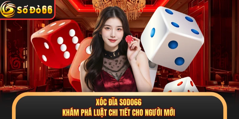 Xóc Đĩa SODO66 - Khám Phá Luật Chi Tiết Cho Người Mới